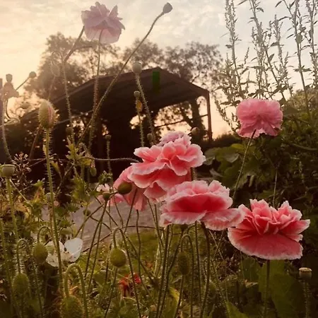 Artists And Writers Farm Space * Allenwood (Kildare)